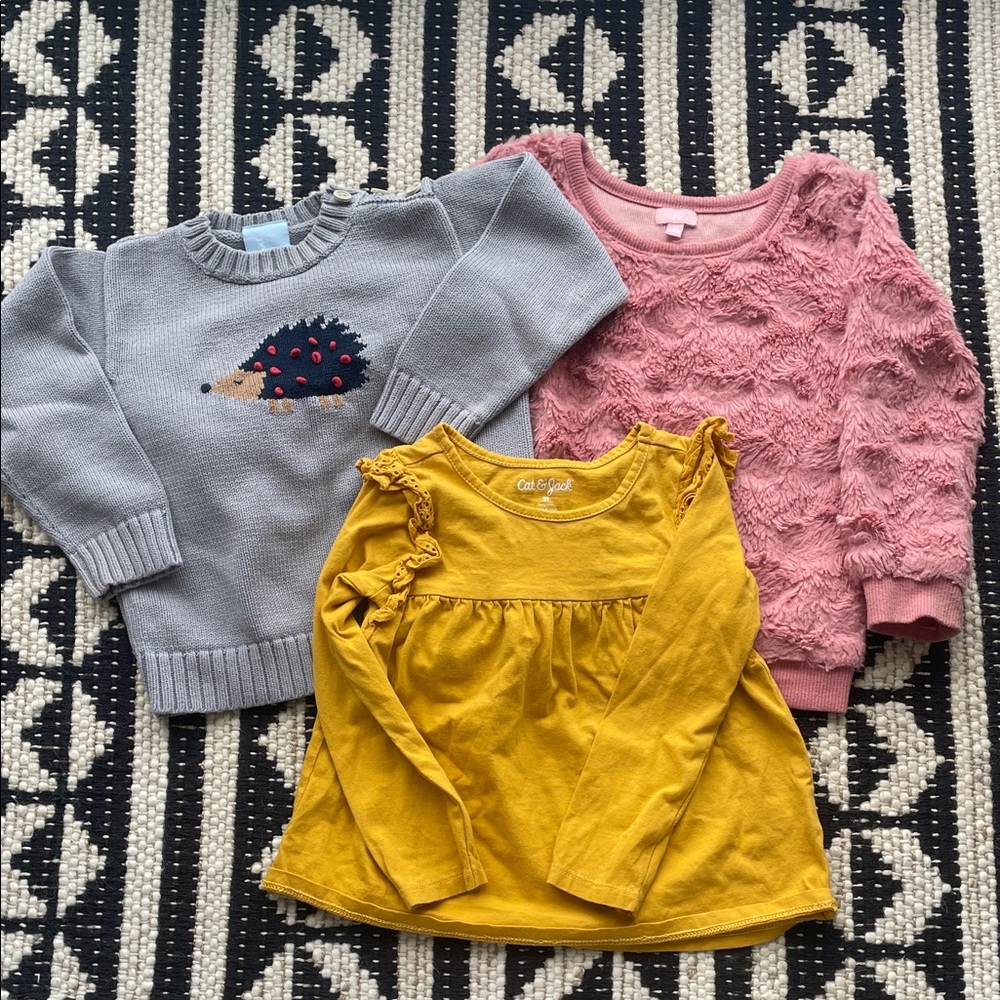 Lot of 3 2T Girls Tops- 2 Sweaters and One Top 🥂